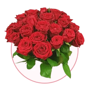 Alla hjärtans dag blommor