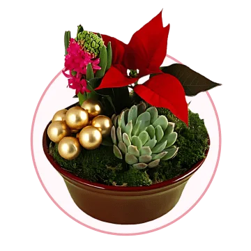 Julblommor