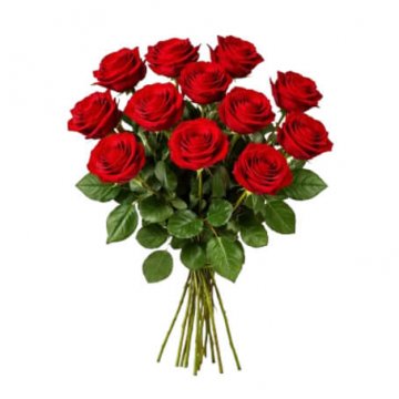 Ett dussin röda rosor