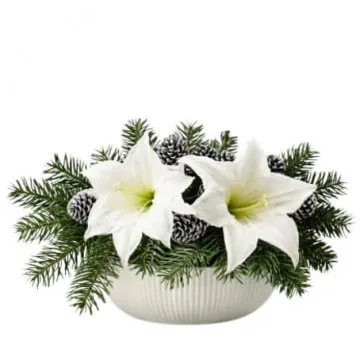 Julgrupp vit amaryllis
