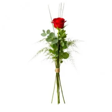 Rosor