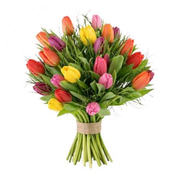 Tulpanbuketter