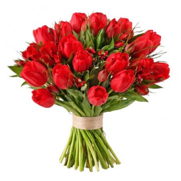 Tulpanbuketter