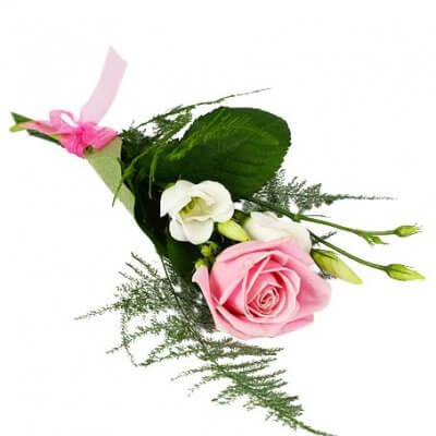 Handblomma - Rosa ros och vit prärieklocka