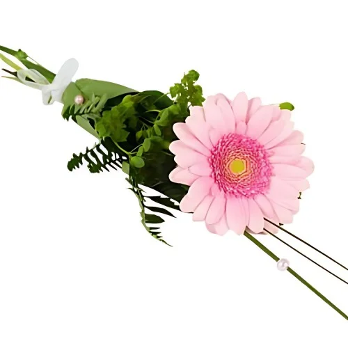 Handblomma - Rosa germini