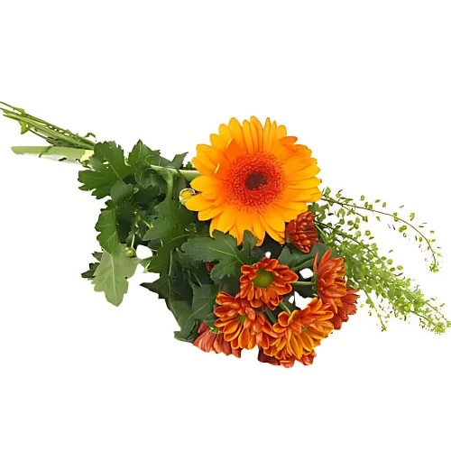 Handblomma