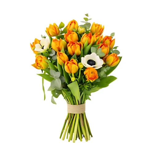En tulpanbukett med orange tulpaner, vita och orange snittblommor och grönt.