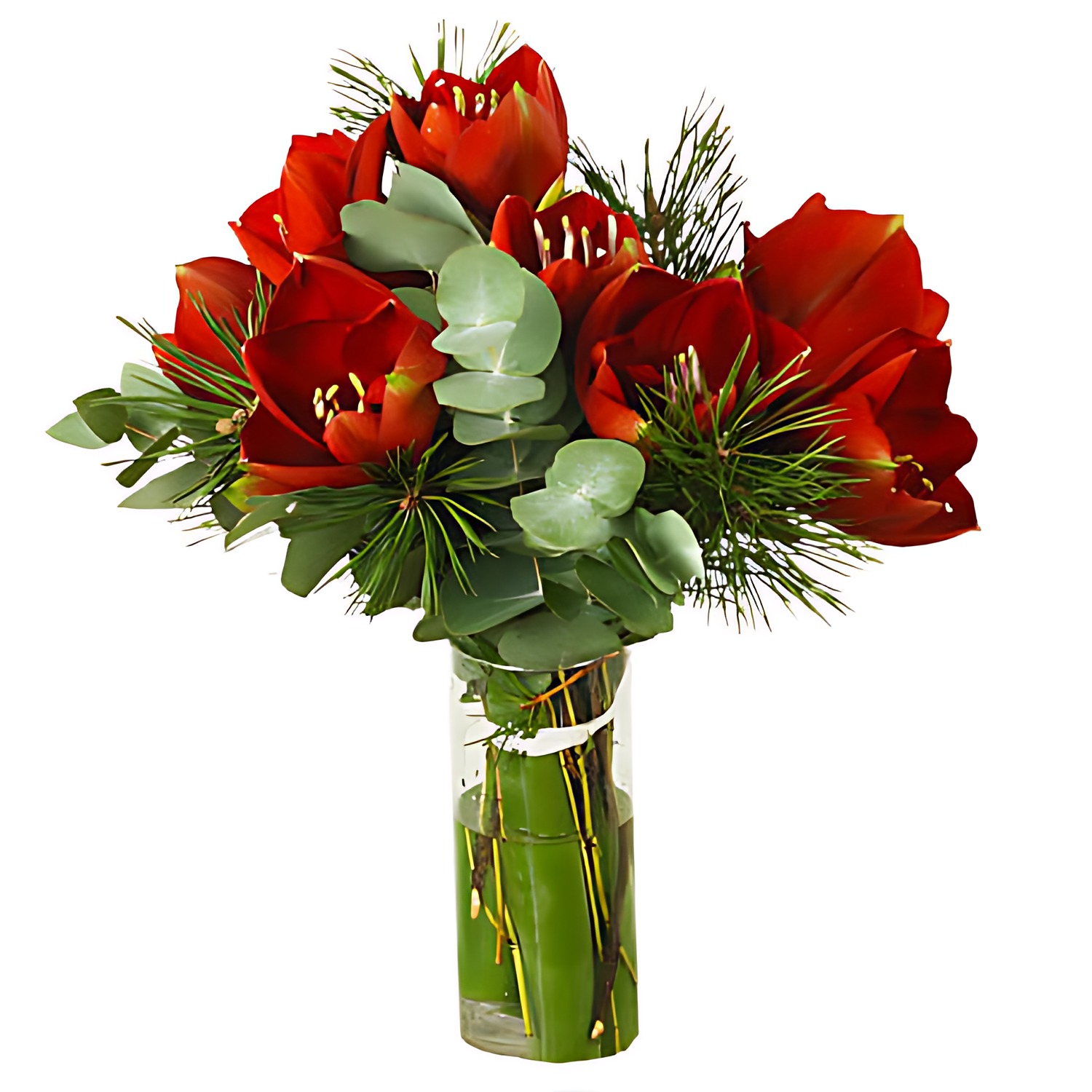 Julbukett röd amaryllis