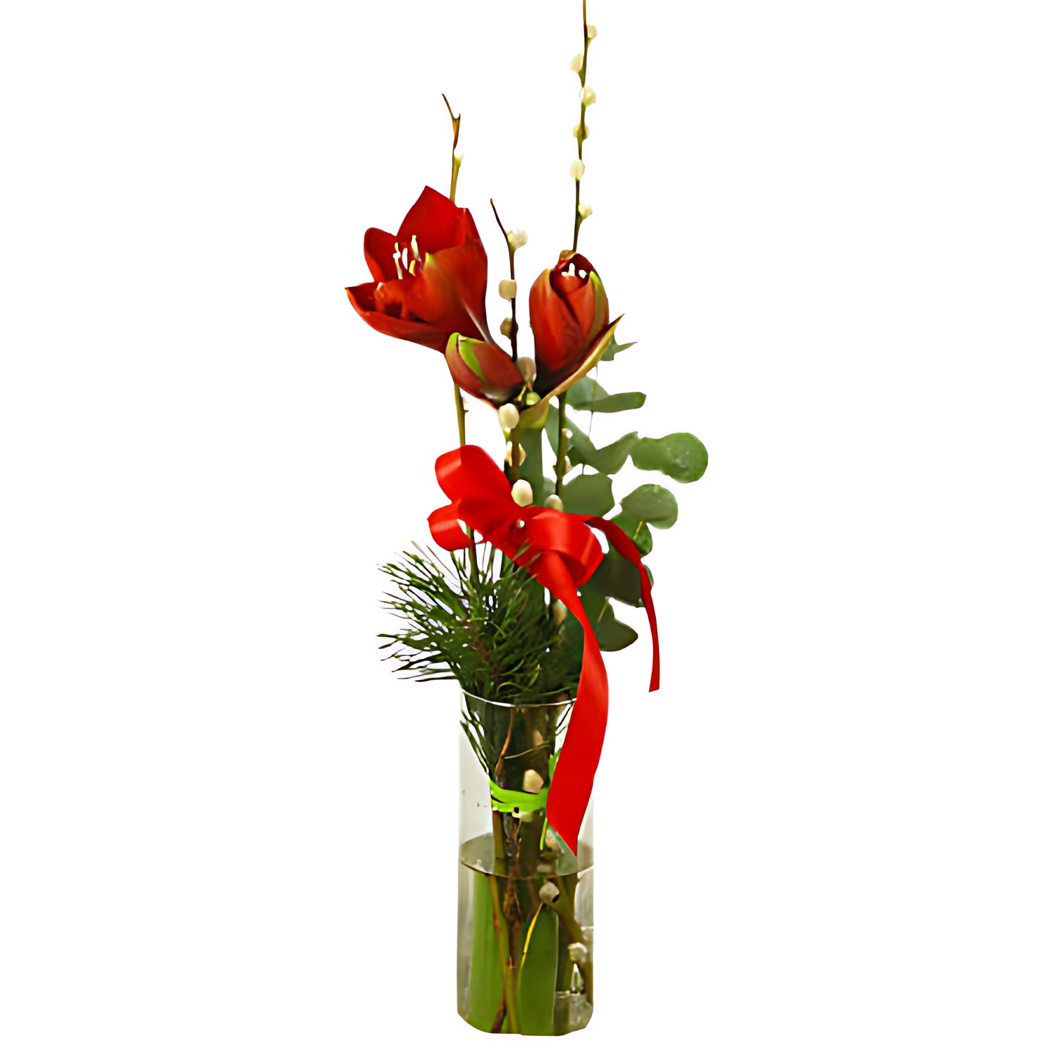 Julnivåbukett röd amaryllis