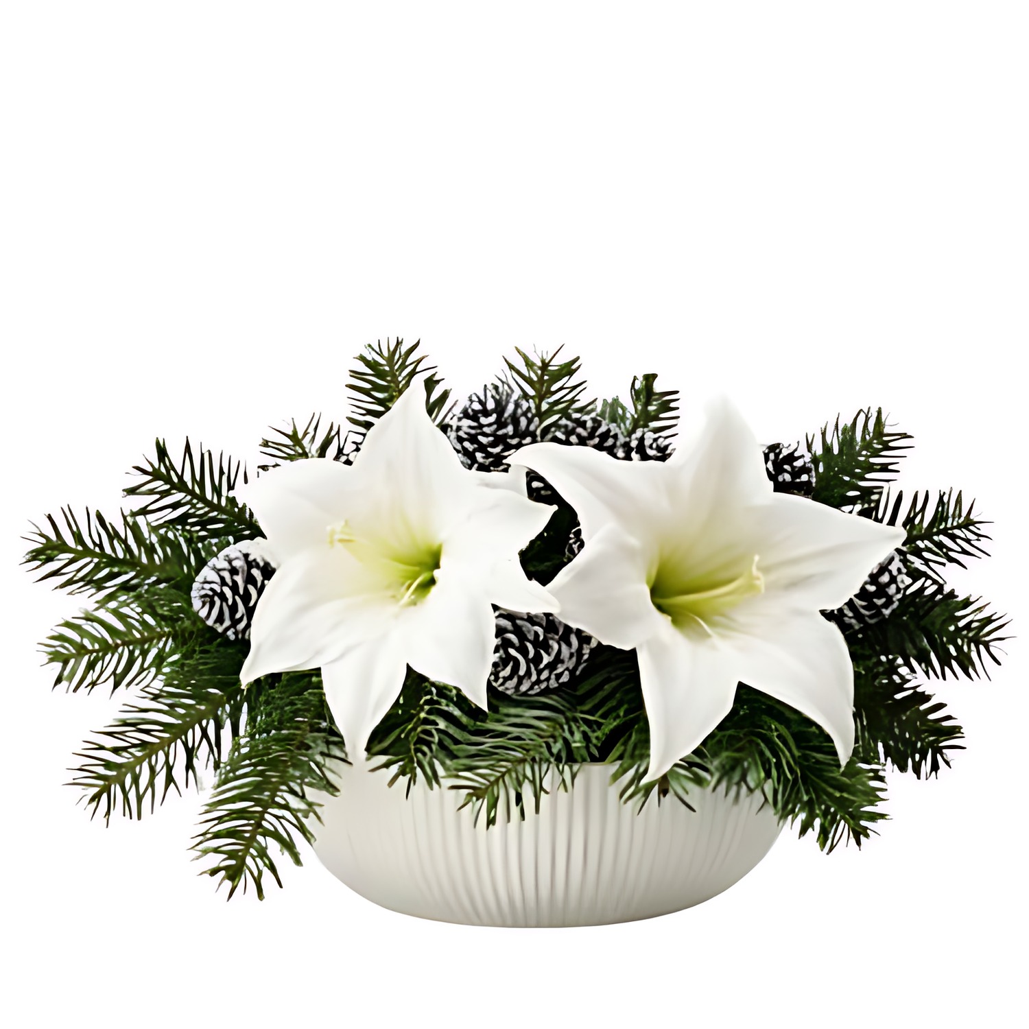Julgrupp vit amaryllis